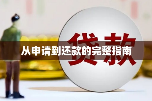 平湖从申请到还款的完整指南