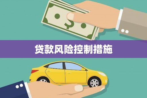 平湖贷款风险控制措施