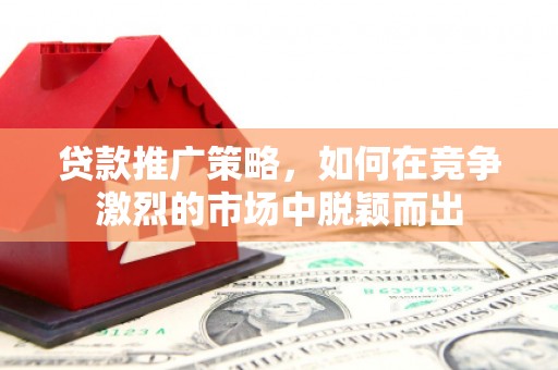 平湖贷款推广策略，如何在竞争激烈的市场中脱颖而出