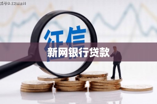 平湖新网银行贷款