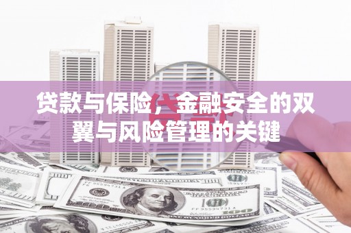 平湖贷款与保险，金融安全的双翼与风险管理的关键