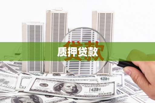平湖质押贷款