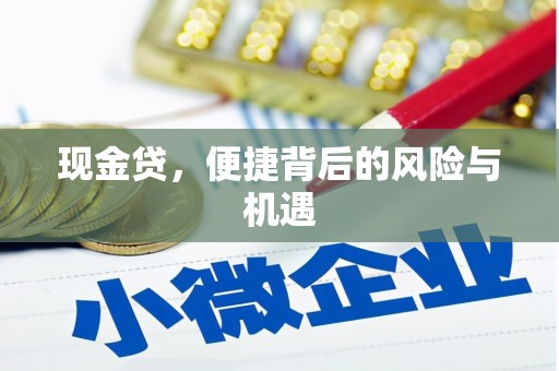 平湖现金贷，便捷背后的风险与机遇