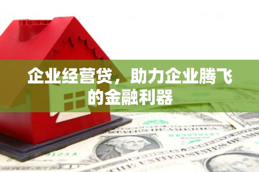平湖企业经营贷，助力企业腾飞的金融利器