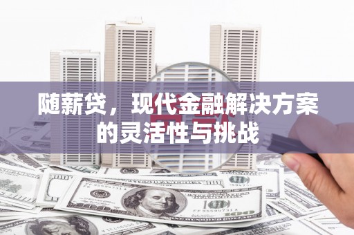 平湖随薪贷，现代金融解决方案的灵活性与挑战