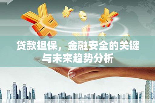 平湖贷款担保，金融安全的关键与未来趋势分析