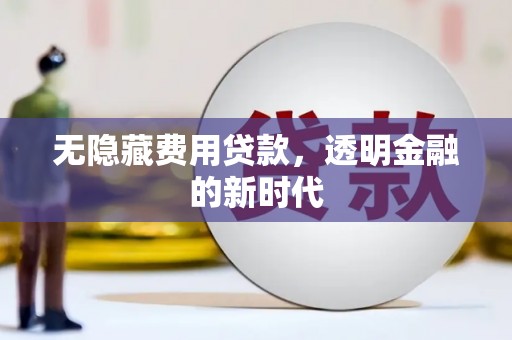平湖无隐藏费用贷款，透明金融的新时代