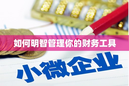 平湖如何明智管理你的财务工具