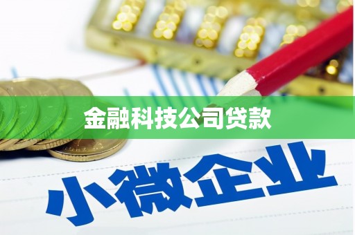 平湖金融科技公司贷款