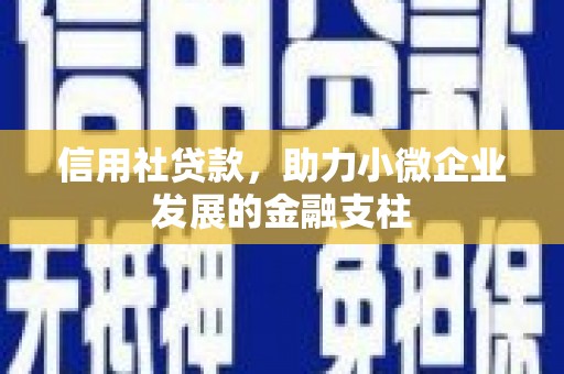 平湖信用社贷款，助力小微企业发展的金融支柱
