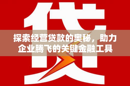 平湖探索经营贷款的奥秘，助力企业腾飞的关键金融工具