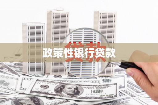 平湖政策性银行贷款