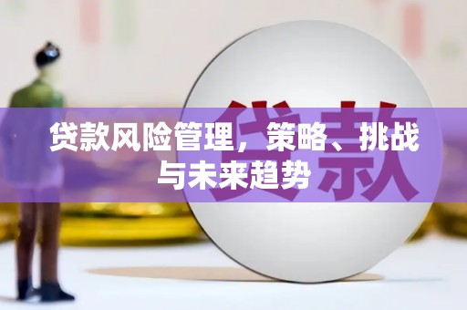 平湖贷款风险管理，策略、挑战与未来趋势