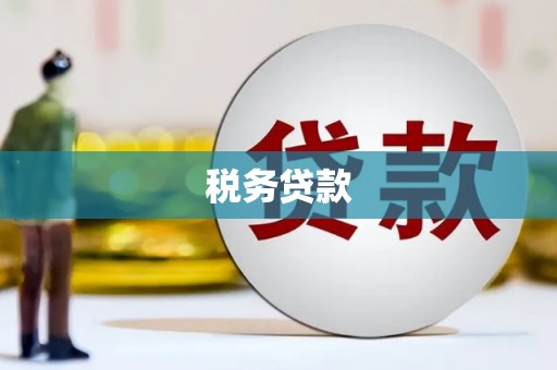 平湖税务贷款