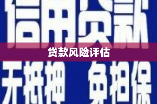 平湖贷款风险评估