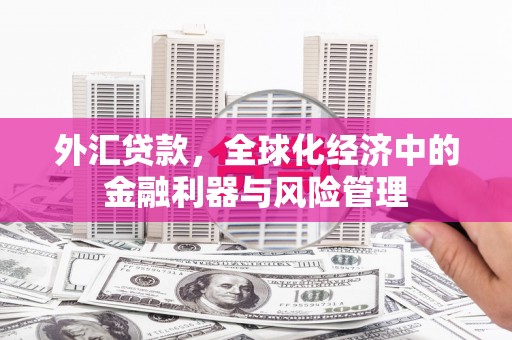 平湖外汇贷款，全球化经济中的金融利器与风险管理