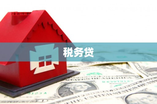 平湖税务贷