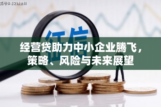 平湖经营贷助力中小企业腾飞，策略、风险与未来展望