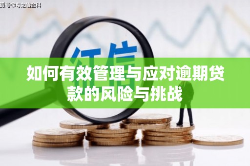 平湖如何有效管理与应对逾期贷款的风险与挑战