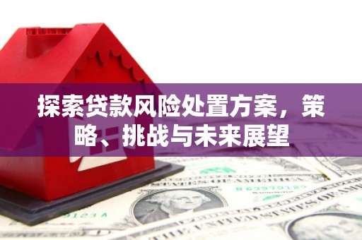 平湖探索贷款风险处置方案，策略、挑战与未来展望