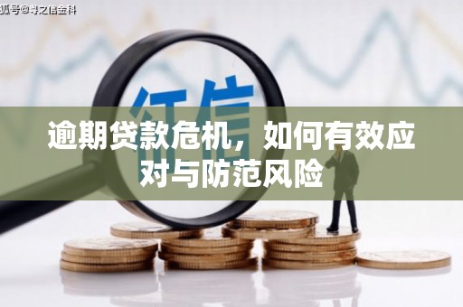 平湖逾期贷款危机，如何有效应对与防范风险
