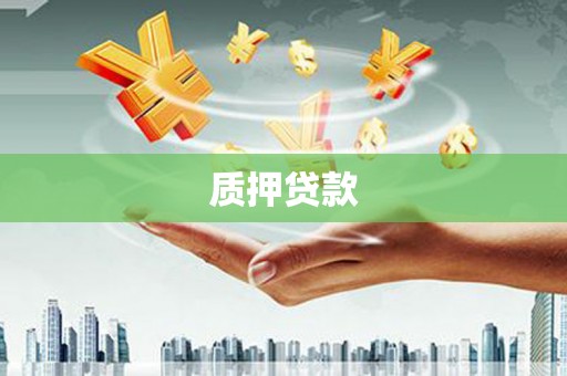 平湖质押贷款