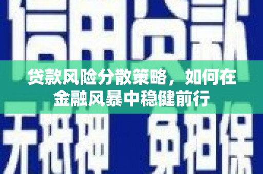 平湖贷款风险分散策略，如何在金融风暴中稳健前行