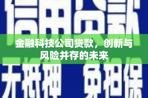 平湖金融科技公司贷款，创新与风险并存的未来