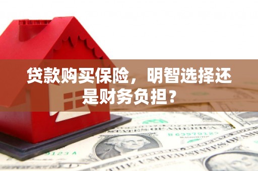平湖贷款购买保险，明智选择还是财务负担？