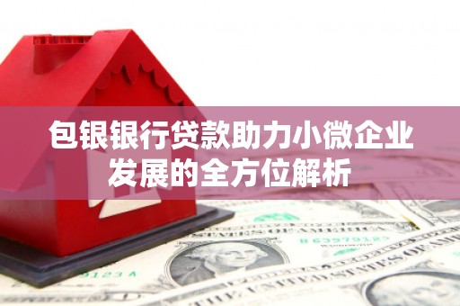 平湖包银银行贷款助力小微企业发展的全方位解析 平湖包银银行贷款助力小微企业发展的全方位解析