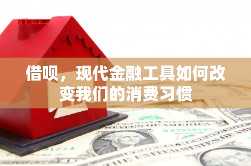 平湖借呗，现代金融工具如何改变我们的消费习惯