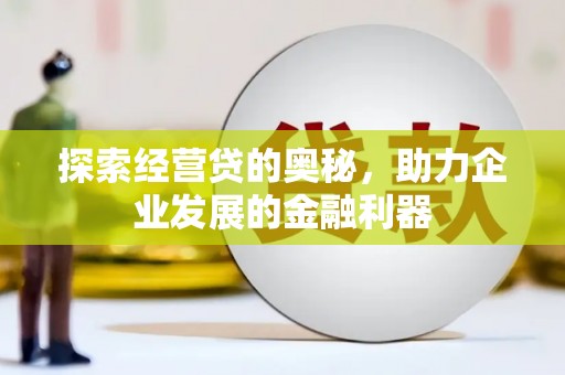 平湖探索经营贷的奥秘，助力企业发展的金融利器