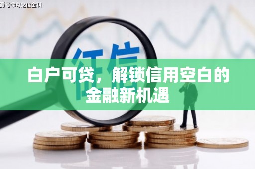 平湖白户可贷，解锁信用空白的金融新机遇