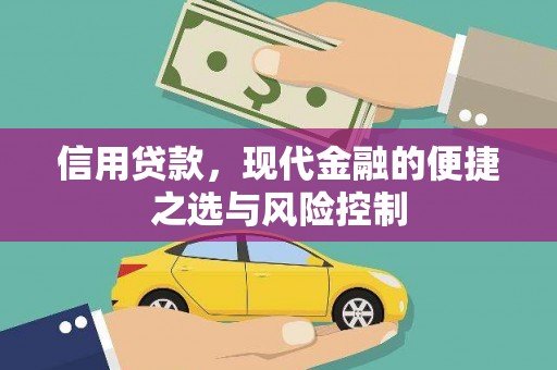 平湖信用贷款，现代金融的便捷之选与风险控制
