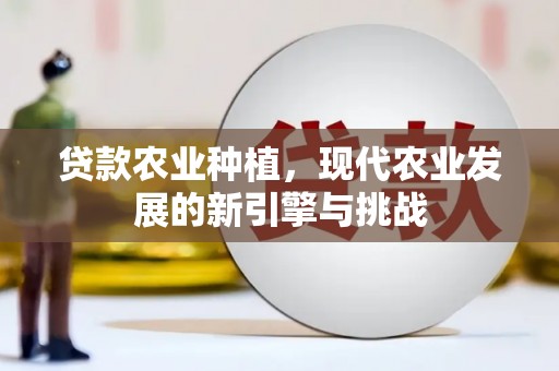 平湖贷款农业种植，现代农业发展的新引擎与挑战