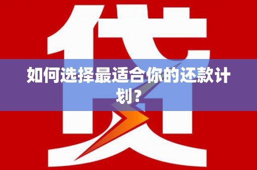 平湖如何选择最适合你的还款计划？