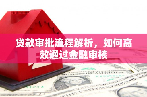 平湖贷款审批流程解析，如何高效通过金融审核