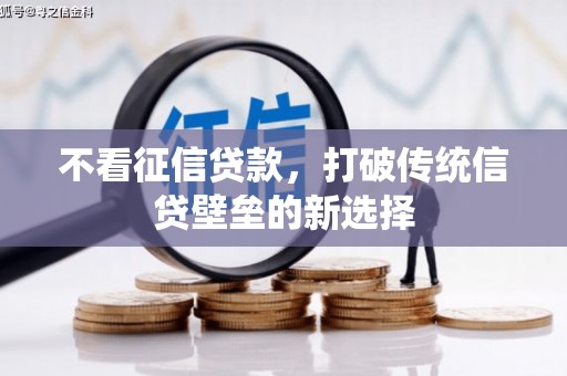 平湖不看征信贷款，打破传统信贷壁垒的新选择