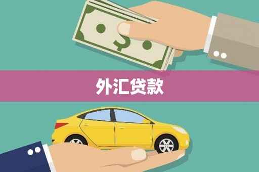 平湖外汇贷款