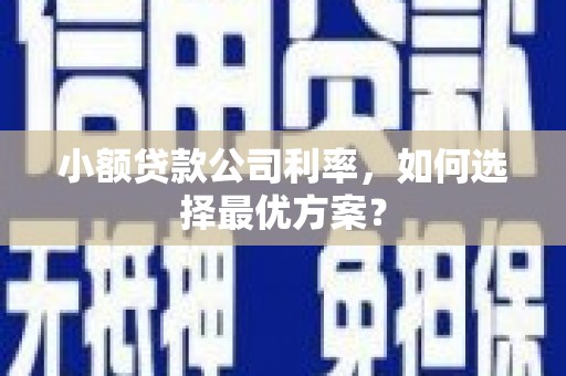 平湖小额贷款公司利率，如何选择最优方案？
