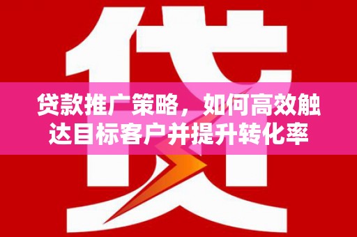 平湖贷款推广策略，如何高效触达目标客户并提升转化率