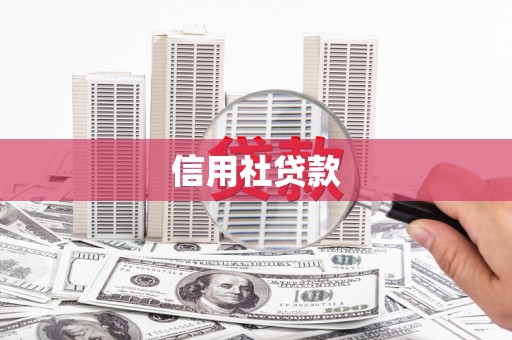 平湖信用社贷款