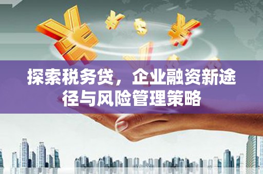 平湖探索税务贷，企业融资新途径与风险管理策略