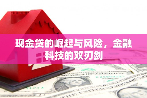 平湖现金贷的崛起与风险，金融科技的双刃剑