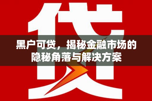 平湖黑户可贷，揭秘金融市场的隐秘角落与解决方案
