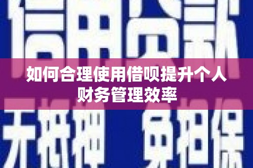 平湖如何合理使用借呗提升个人财务管理效率