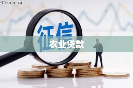 平湖农业贷款