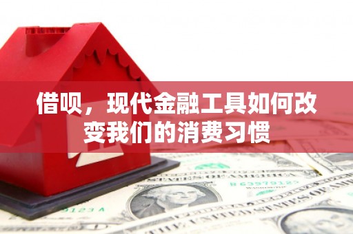 平湖借呗，现代金融工具如何改变我们的消费习惯