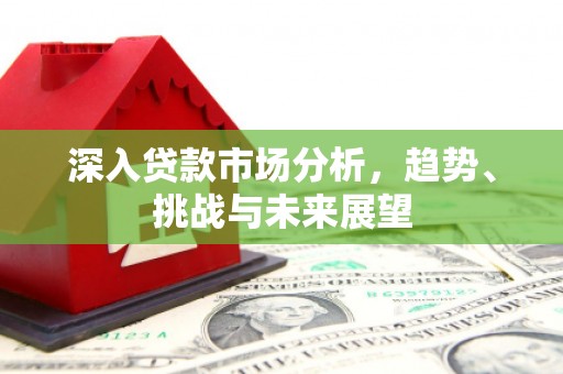 平湖深入贷款市场分析，趋势、挑战与未来展望