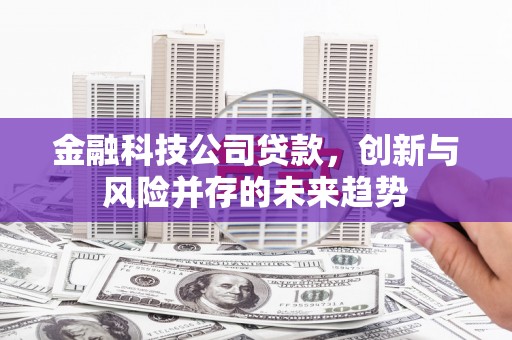 平湖金融科技公司贷款，创新与风险并存的未来趋势
